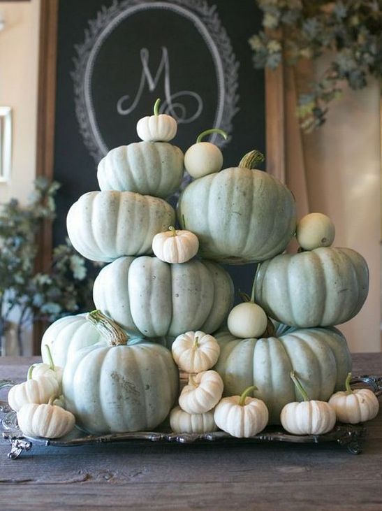 a chic Thanksgiving centerpiece of a silver vintage tray with white and green fresh pumpkins for a harvest statement
