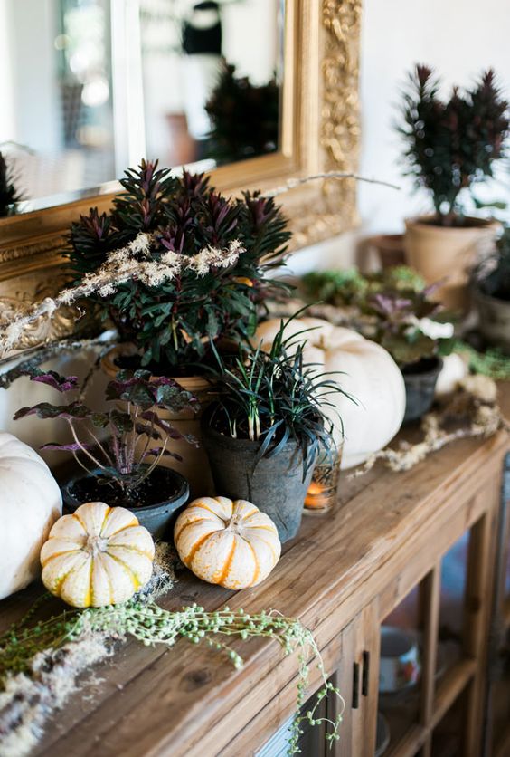 a natural Halloween console styled with neutral pumpkins, greenery and dark potted plants for a dramatic touch