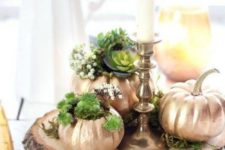 14 fake pumpkins spray painted copper and used as planters for succulents are a great rustic decor idea