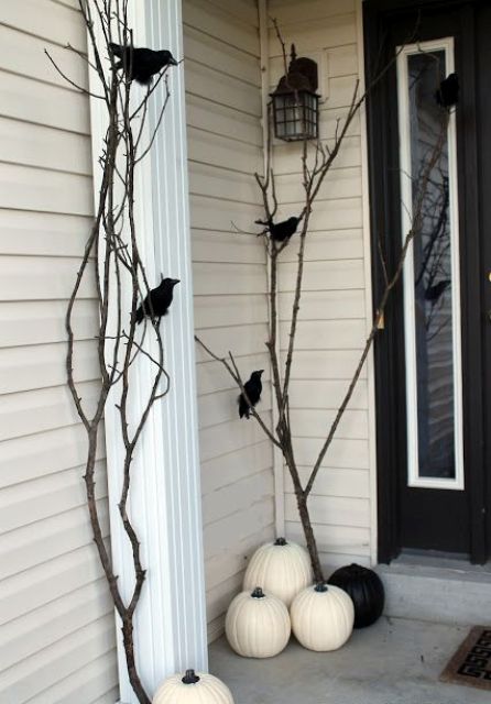 black and white pumpkins, branches and fake birds sitting on them look scary enough for an entrance