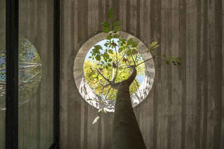 The trees attract singing birds, which makes the owners feel like outside