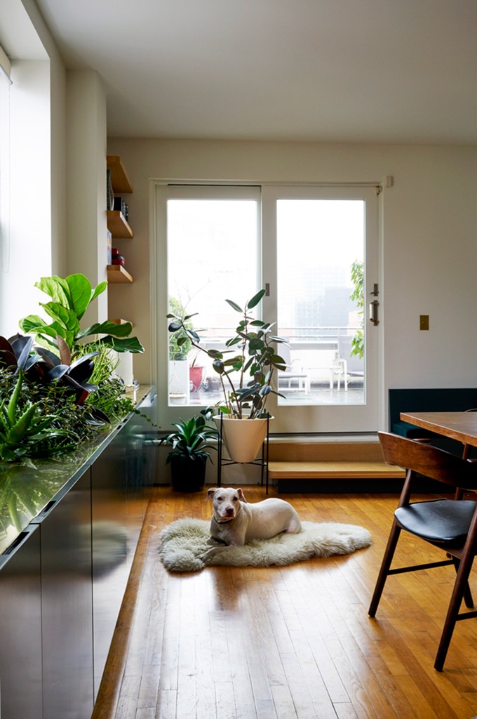 The walls are white, there are light-colored wood touches and a floor, there's much potted greenery and an entrance to the terrace