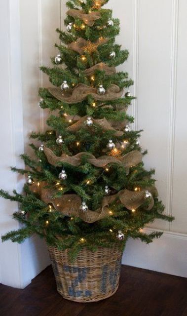 a simple rustic Christmas tree in a basket with silver ornaments, lights and burlap ribbons all over it