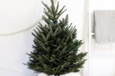 tree in a basket used as a base