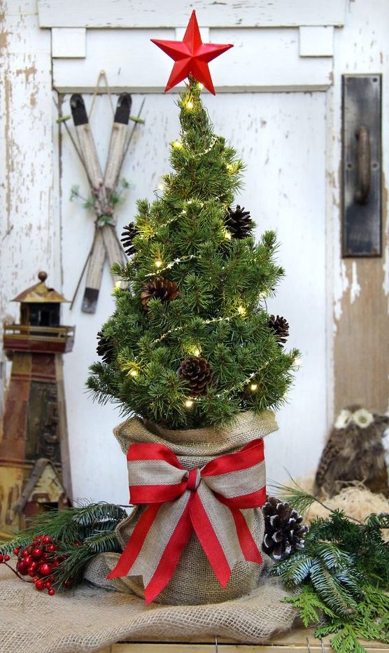 a pretty and simple tabletop Christmas tree decorated with lights, pinecones, with a star topper and a burlap sack with a bow