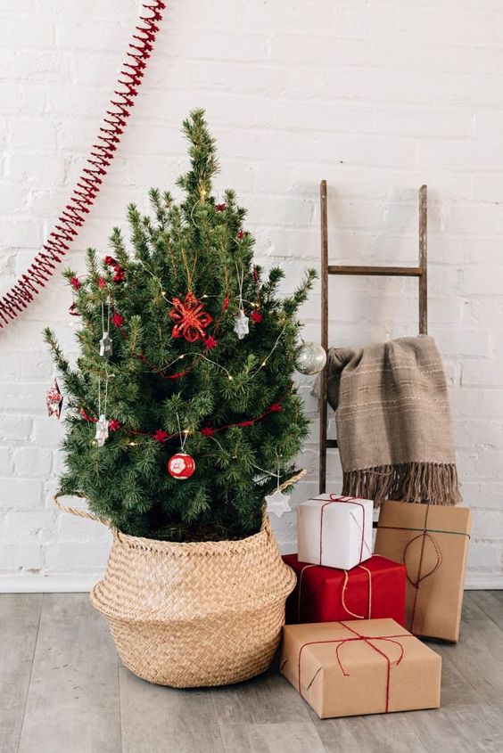 a small Christmas tree in a basket and with silver and red ornaments is a cool and catchy decoration