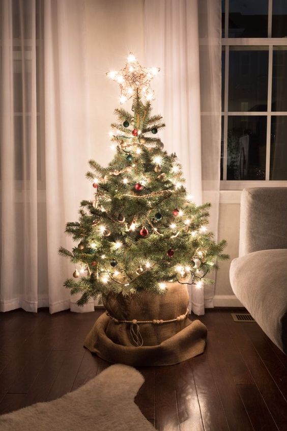 a small Christmas tree wrapped with burlap, with lights, colorful ornaments and a star topper