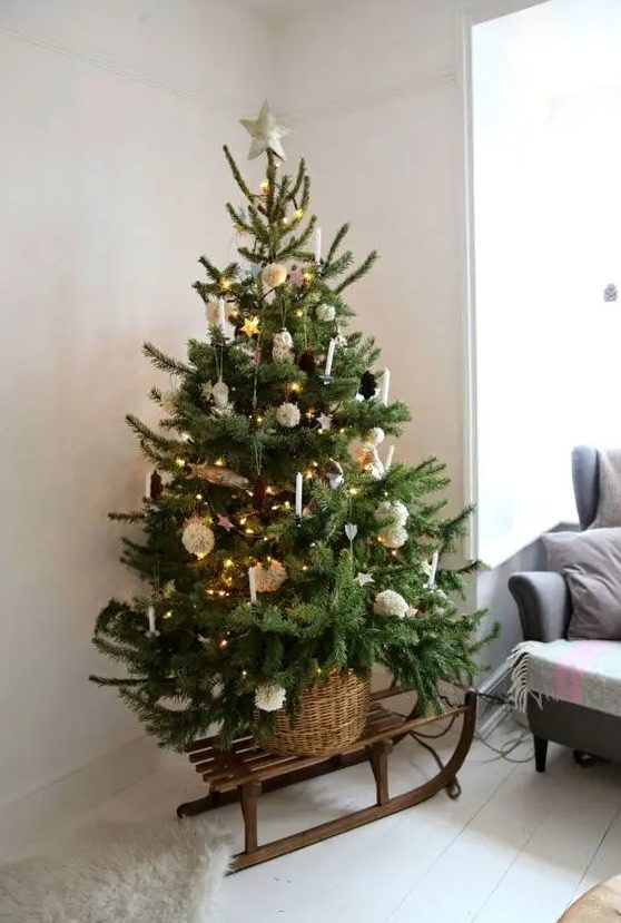 place your Christmas tree into a basket and put it on a wooden sleigh for a rustic Christmas space