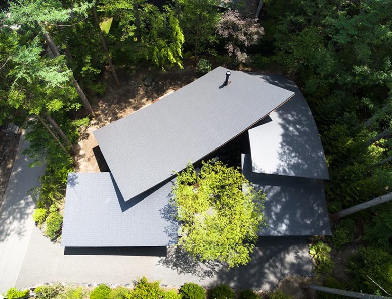 This is how the house looks from above, there are four curved roofs and they resemble leaves