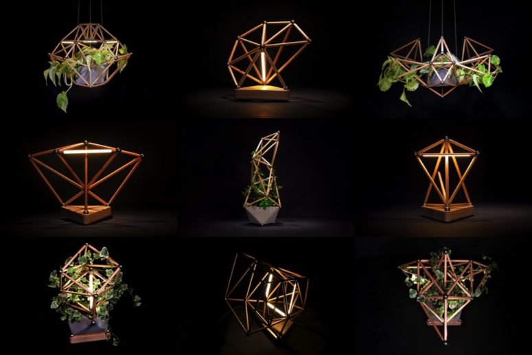modern semi DIY planters and lamps You may try various configurations of planters and lamps to fit your space