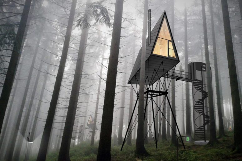 This is how these cabins are supposed to look in the forest, though they aren't on the trees, they are next to them