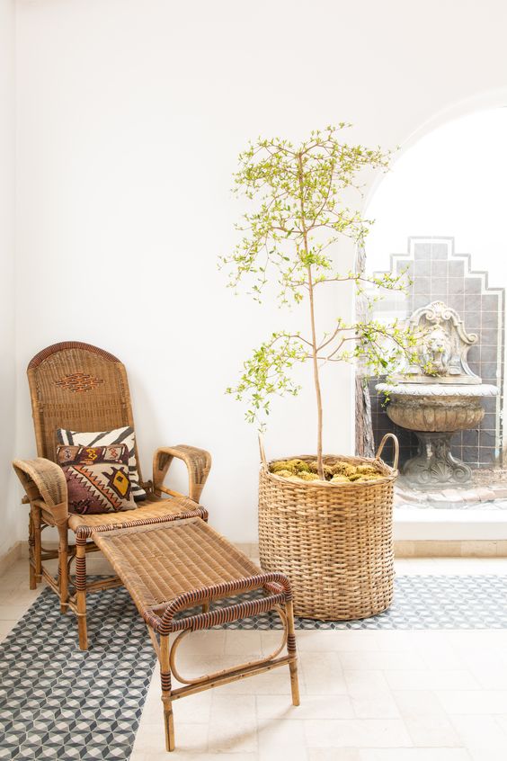 a neutral relaxing space with a wicker lounger and an olive tree in a basket with moss feels modern and Mediterranean a neutral relaxing space with a wicker lounger and an olive tree in a basket with moss feels modern and Mediterranean