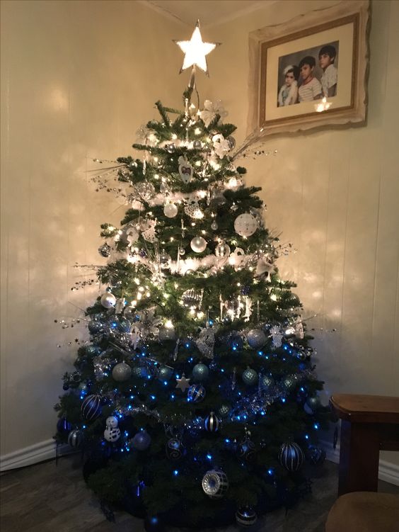 an ombre Christmas tree from white to silver nd bold blue, many lights and a shiny star on top will make an impression