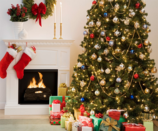 merry christmas dd