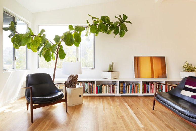 a driftwood lamp could be a nice addition to your home's decor The living room is done with a large potted plant, a catchy driftwood lamp and some leather chairs and a sofa