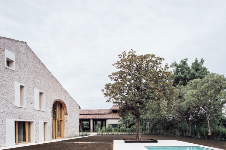 The tree in the center of the backyard is the centerpiece, which is seen from each window