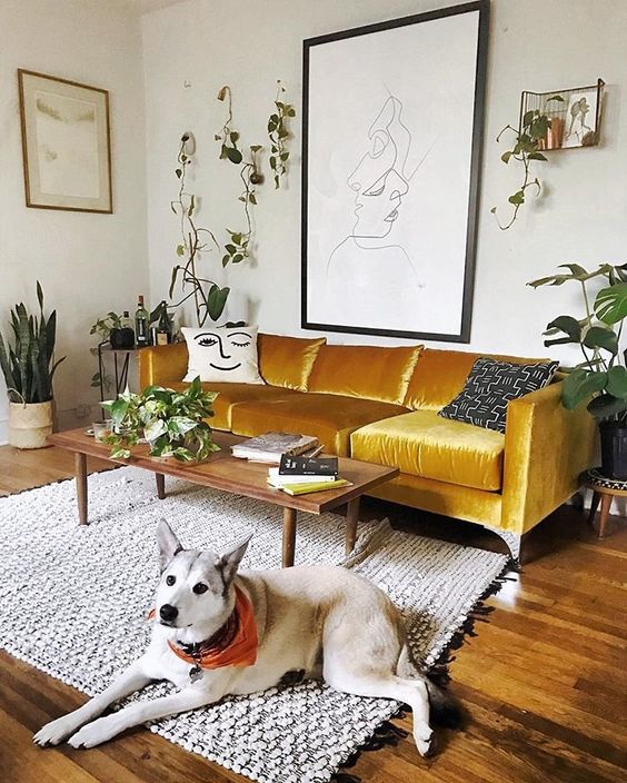 a bold mustard velvet sofa is the centerpiece of the living room, with its color and material