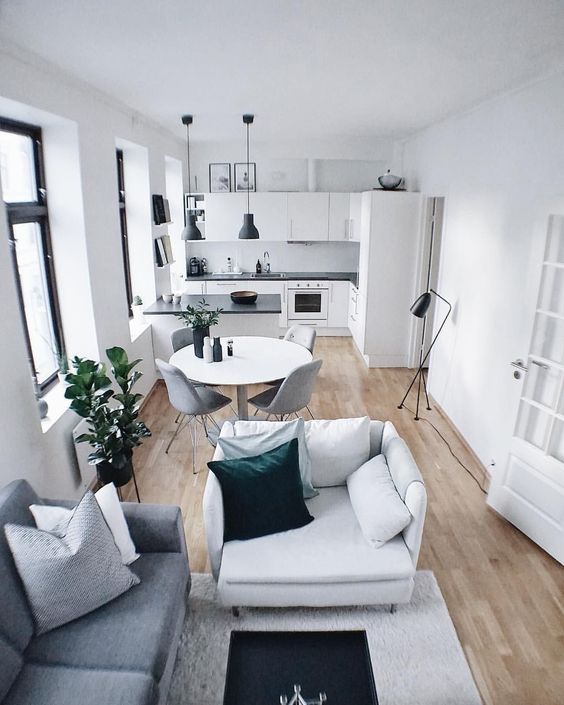 a tiny home with a dining, living space and a kitchen, all of them are united into a flowing space to fill it with light