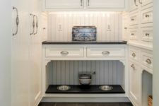 19 a kitchen cabinet with an incorporated pet food station and comfy bowls