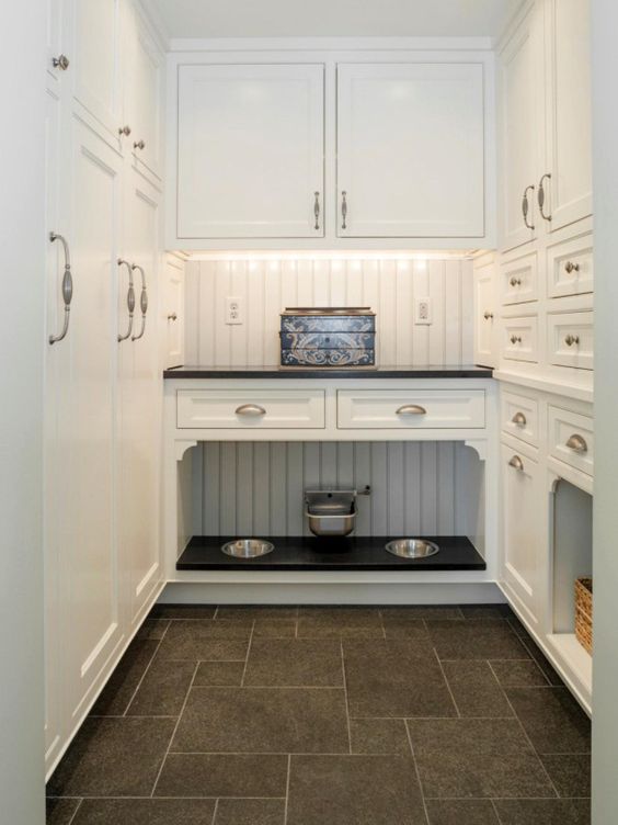 a kitchen cabinet with an incorporated pet food station and comfy bowls