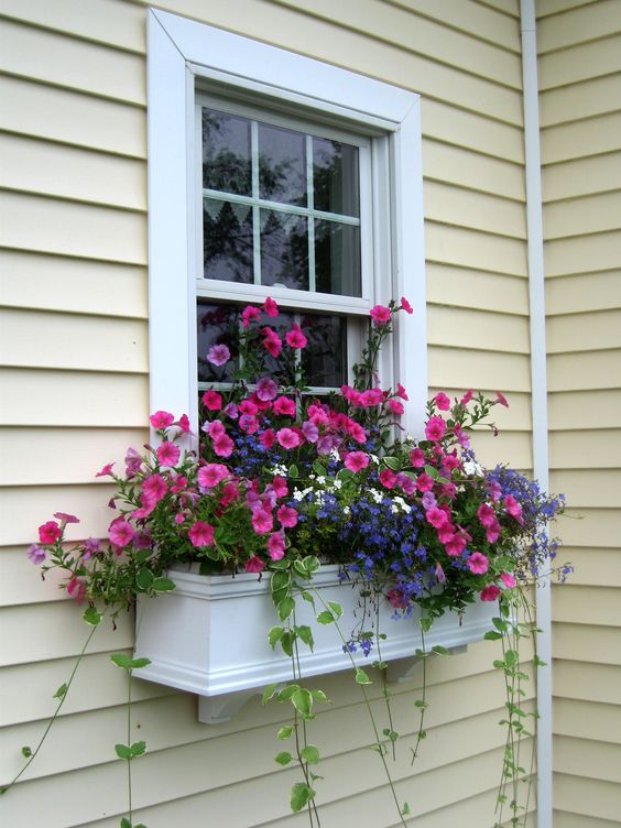 a small white window box with bright pink and purple blooms and cascading greenery will add a colorful touch