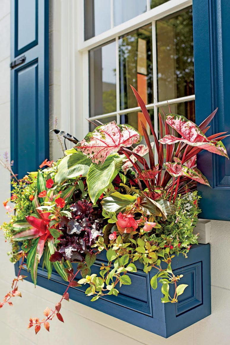 a blue crown molding window box planter with lush greenery, blooms and foliage of various colors
