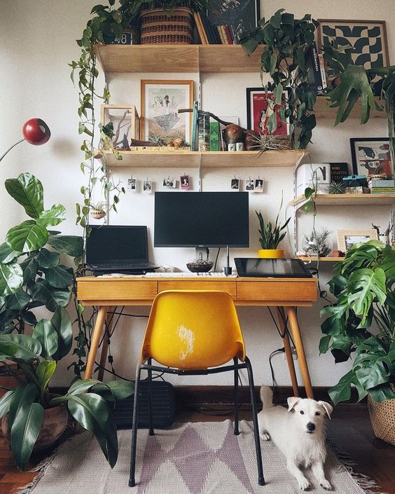 an ultra sleek mid-century modern desk with three storage drawers and a mustard chair to match