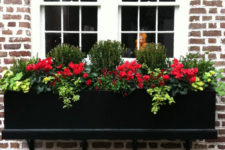 16 a traditional black wooden box planter with bright flowers, greenery and foliage for a bold look