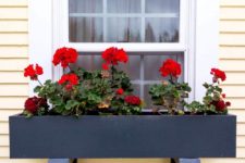 23 a blackened metal window box with black semigloss finish and bold red blooms for a statement