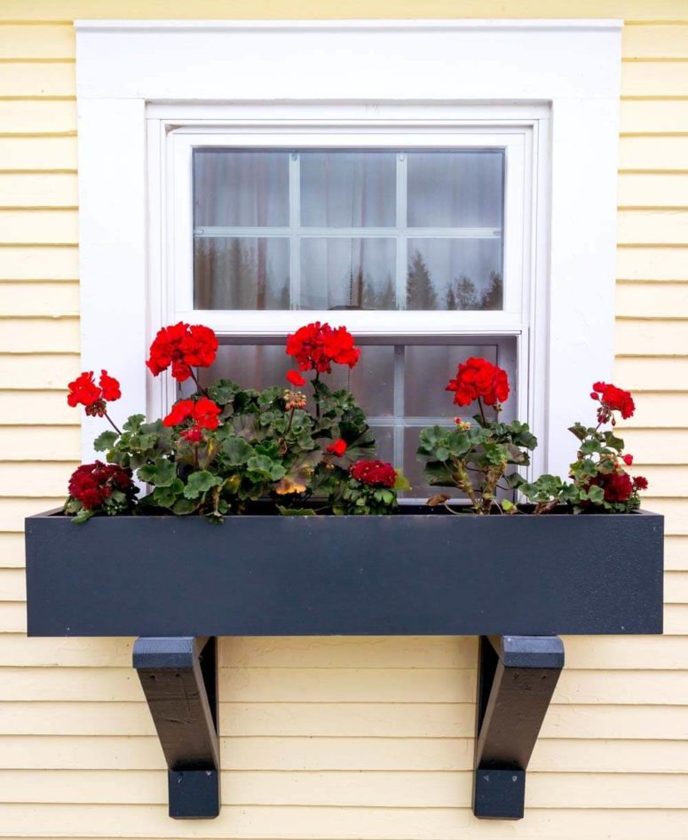 a blackened metal window box with black semigloss finish and bold red blooms for a statement