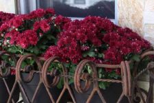 25 a decorative iron window box for potted plants allows you changing the plants and blooms when you want