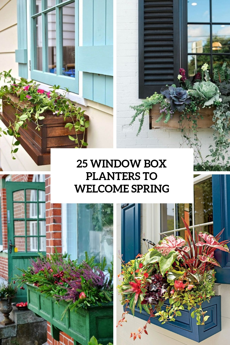 window box planters to welcome spring cover