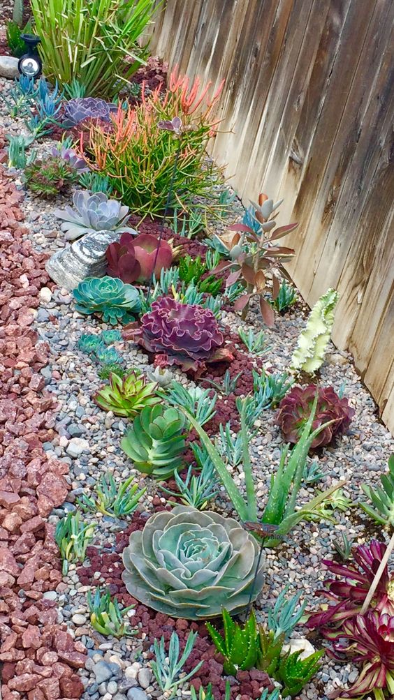 59 Catchy Outdoor Succulent Garden Ideas - DigsDigs