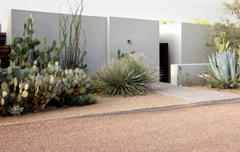 there's nothing as cool and as spectacular as large and bold cacti like here, add agaves for a more spectacular look