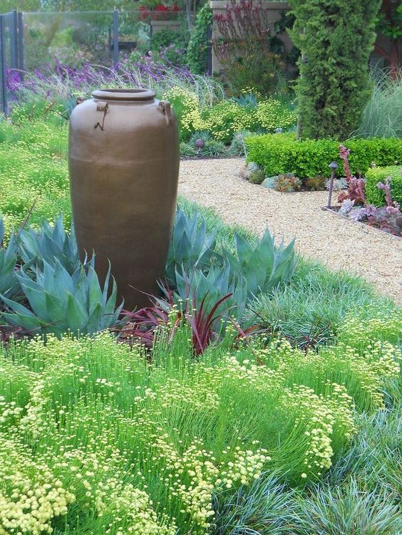 an enchanting low water garden done with succulents of various shades and grasses