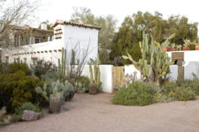 04 large cacti can be combined with smaller ones, just choose different types and different looks