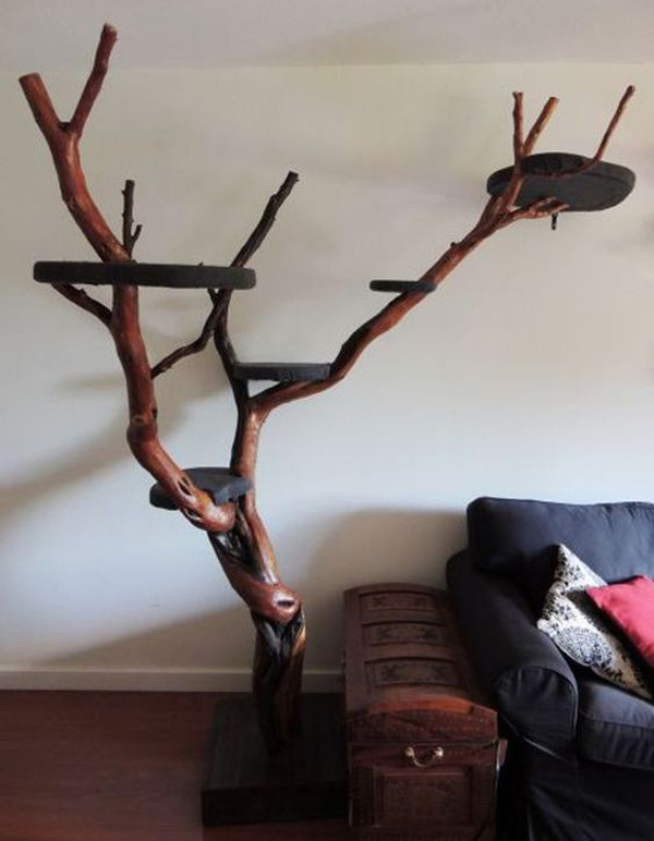 Cat Tree Made From Real Tree Cat s Blog
