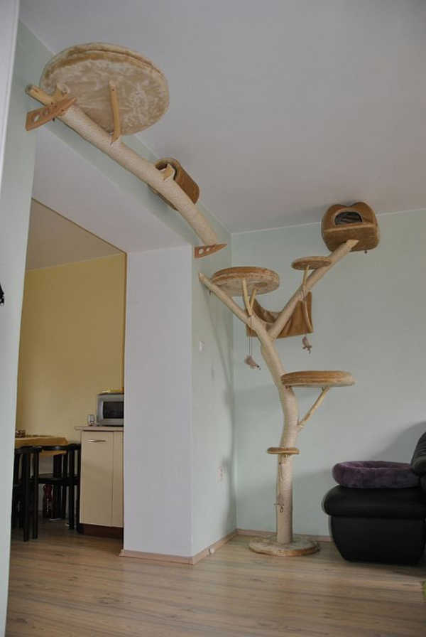 What is the best way to secure a cat tree?