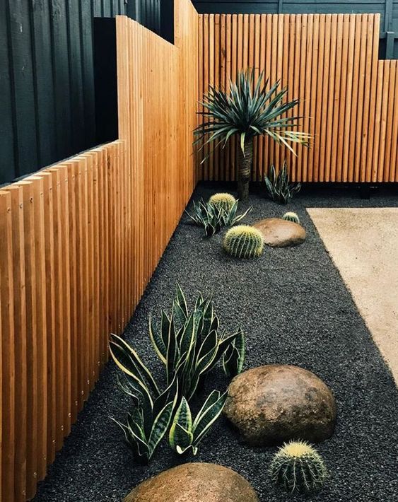 rocks, succulents, agaves and cacti will make your front yard laconic and very chic