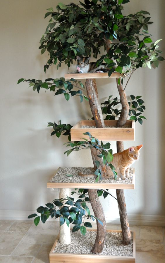 natural cat trees