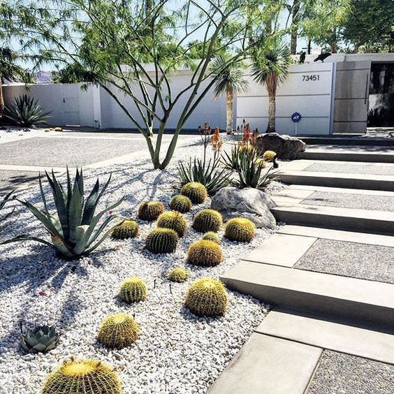 combine agaves, succulents and cacti with some contrasting pebbles on top to make your front yard very stylish