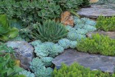 10 rough rock steps with succulents and other plants growing in between for a cool look