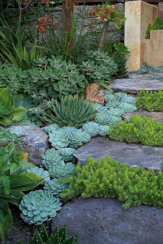 rough rock steps with succulents and other plants growing in between for a cool look