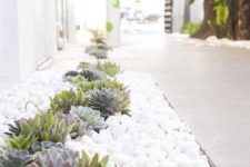 11 little succulents paired with white pebbles make the front yard neutral, minimalist and very trendy