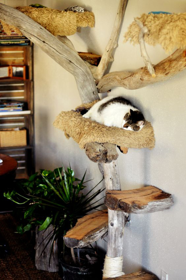 25 Cat Trees And Climbers To Make Your Pet Happy DigsDigs