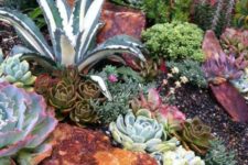 12 large and bold rocks with pale and neutral succulents make up a cool and catchy desert garden