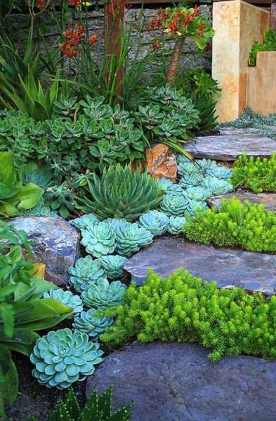 Outdoor Succulent Garden Ideas, Landscaping With Succulents And Rocks