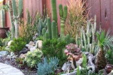 13 a gorgeous desert garden with layered plantings – cacti, succulents, agaves and even driftwood and pebbles for decor