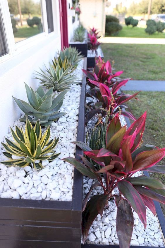 succulents and agaves in raise garden beds covered with white pebbles for a very neat and laconic front yard look