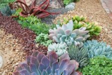 15 smaller and larger succulents of various shades and looks combined to create a cohesive look